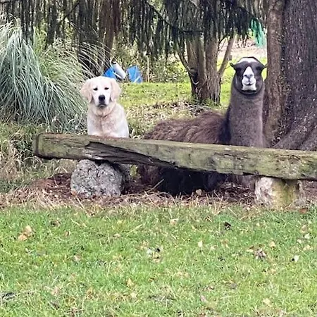 度假居 Maison Individuelle Dans Un Parc Pontchardon