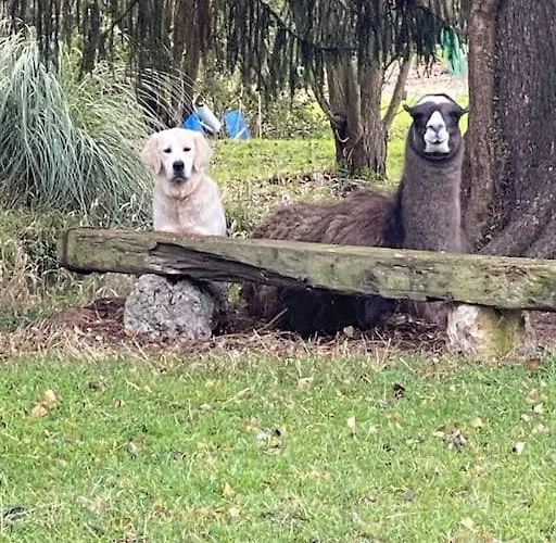 Hébergement de vacances Maison Individuelle Dans Un Parc Pontchardon